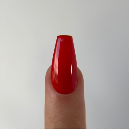 Starter Kit – Custom-fit Nails